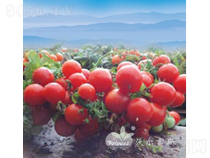 ����ؐؐF1����ժ���ã�-���ѷN��-�֠���˹