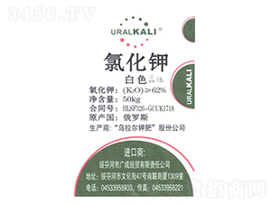 �������Ȼ��-¡���r(n��ng)�Y