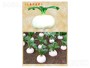 �������}��-�}���N��-�_(t��i)�r(n��ng)�N��