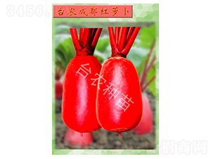 �ɶ��t�}��-�}���N��-�_(t��i)�r(n��ng)�N��