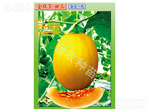 �_�r(n��ng)��t�����-��ϷN��-�_�r(n��ng)�N��