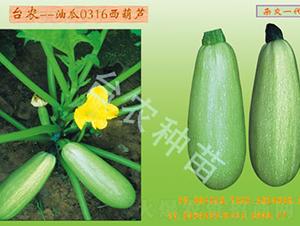 0316�����J-�����J�N��-�_(t��i)�r(n��ng)�N��