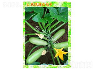 �_(t��i)�r(n��ng)�G�������J-�����J�N��-�_(t��i)�r(n��ng)�N��