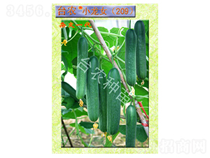 �_(t��i)�r(n��ng)С��Ů209ȫ���S��-�S�ϷN��-�_(t��i)�r(n��ng)�N��