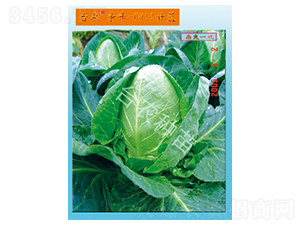 �_�r(n��ng)����0912���{-���{�N��-�_�r(n��ng)�N��