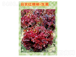 �_�r�tɺ������-���˷N��-�_�r�N��