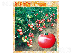 �ۊy�CŮ����-���ѷN��-�_�r�N��