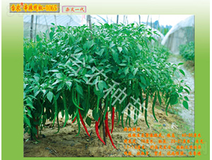 ����-1065-�����N��-�_(t��i)�r(n��ng)�N��