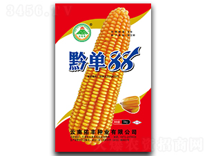 ǭ��88-���׷N��-�������S�N�I(y��)