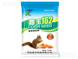 ����162-���׷N��-�ο�