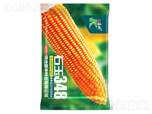 ʯ��348-���׷N��-�ο�