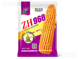 ZH968-���׷N��-�ο�