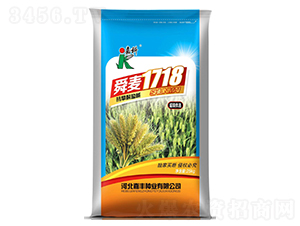 ˴��1718-С���N��-�ο�