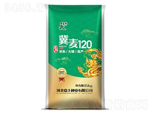 ����120-С���N��-�ο�