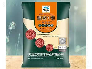 譽(yù)成1號玉米雜交種子-譽(yù)豐