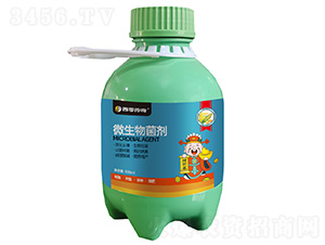 ΢�������-�ļ�����-ȫ���S