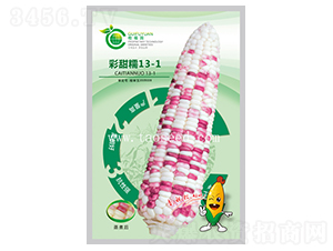 ����Ŵ13-1-���׷N��-�𸣈@�r(n��ng)�I(y��)