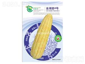 ������4̖-���׷N��-�𸣈@�r(n��ng)�I(y��)