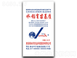 ˮ��������|-���׺�