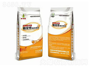 穩(wěn)定性復合肥料-中科虹-中科肥料