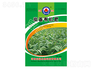 BM̿���ЙC��-��������