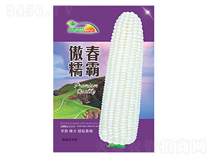 ���׷N��-����Ŵ��-����