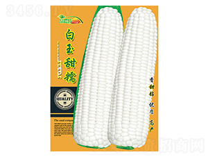 ���׷N��-������Ŵ-����