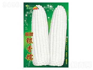 ���׷N��-�����y��Ŵ-����