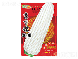 ���׷N��-����Ŵ3000-����