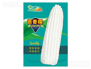 ���׷N��-�y��Ŵ-����