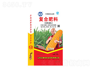 �ͺϷ���(���\���׌��÷�)28-13-10-������