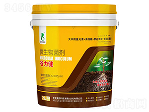 ΢�������-������ -�{(di��o)���������ܷ�-���r(n��ng)�W��