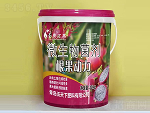 ������(d��ng)��΢�������-ʥ���f��-������