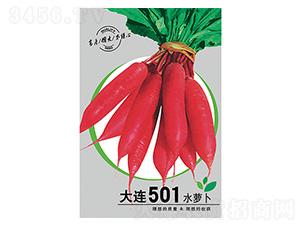 ˮ�}��-���B501-����