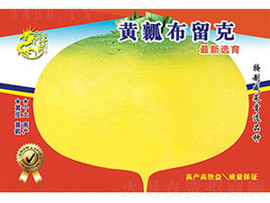 �}���N��-�Sȿ������-����