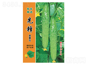 ���h���S��-����