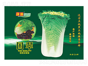 �ײ˷N��-��������-����