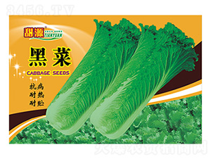 �ڲ�-2015�°�-����