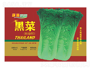 �ڲ˼tɫ���-����