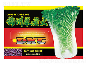 �\�ݲ��ϴ�tɫ���b-����