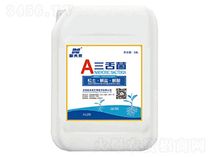 �����(Һ)-��δ��