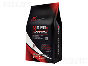 ��̼�˄�(�_ʩ��)-��δ��