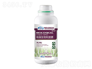 ��������̼���-������-�n��ʘI(y��)