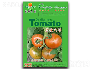 京欽六號-西紅柿種子-京欽紅喜