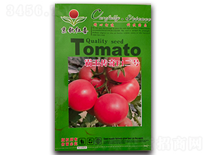 ��������F1��̖-���t���N��-���J�tϲ