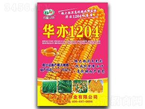 華亦1204-玉米種子-偉豐種業(yè)