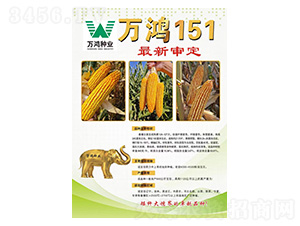 ���׷N��-�f(w��n)��151-�f(w��n)���N�I(y��)