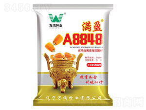 玉米種子-滿盈A8848-萬鴻種業(yè)