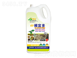 ���˶�-�n��-�n��ʘI(y��)