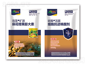 �������������-��(x��)�����憾�ф�-�n��-�n��ʘI(y��)